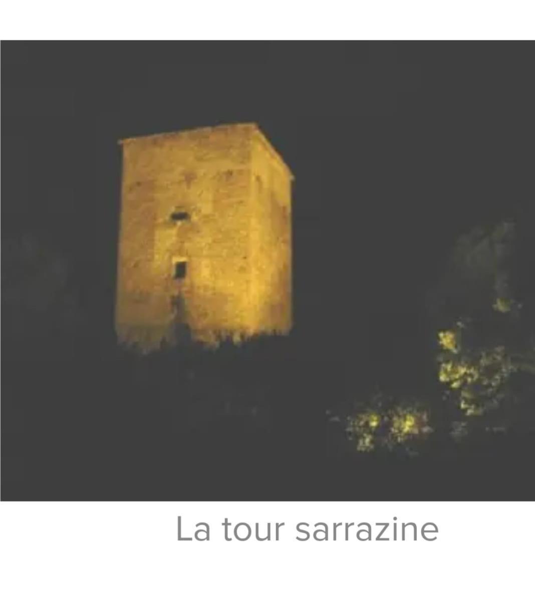 La Jolie Vue Et La Maison De La Tour- Cordes-Sur-Ciel Les Cabannes  Екстер'єр фото